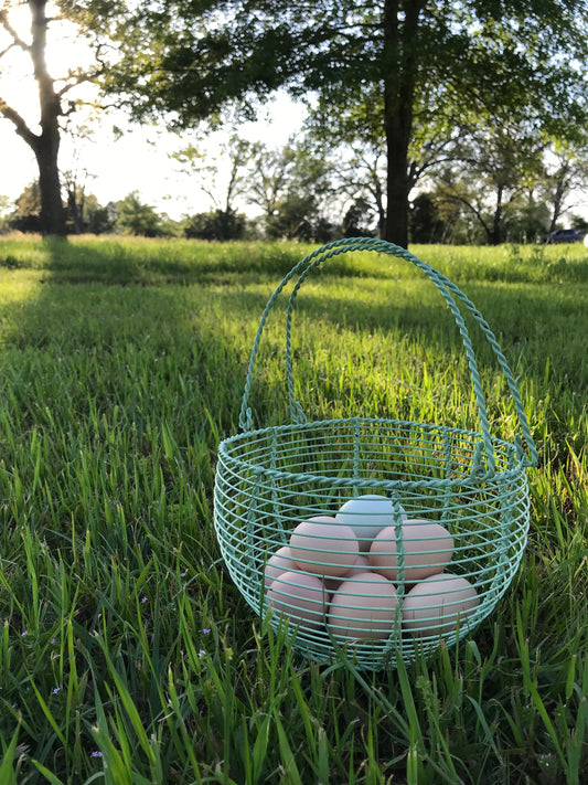 Pasture Perfect Eggs - Dozen